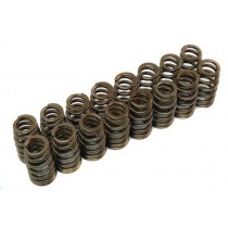 Cosworth High Performance Valvetrain - High RPM Valve Springs for Mitsubishi Lancer 2002-2002